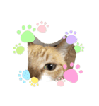 猫って、なんてかわいいの（個別スタンプ：3）