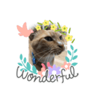 猫って、なんてかわいいの（個別スタンプ：4）
