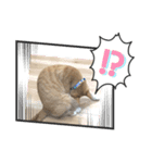 猫って、なんてかわいいの（個別スタンプ：8）