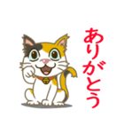 のらネコ みけねこちゃん（個別スタンプ：19）