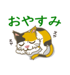 のらネコ みけねこちゃん（個別スタンプ：40）