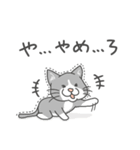愛猫ジョニーのすたんぷ（個別スタンプ：21）