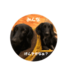 ☆sel＆sara☆（個別スタンプ：8）