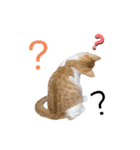 うちのあめちゃん。（個別スタンプ：13）