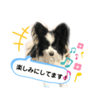 パピパピパピヨン！(3)（個別スタンプ：15）