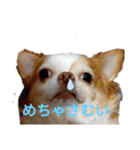 うちの犬2だん（個別スタンプ：14）