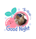 うちの犬2だん（個別スタンプ：19）