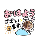 おいぬたちwithぽんた（個別スタンプ：3）