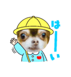 おいぬたちwithぽんた（個別スタンプ：8）