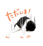 猫のハムスケ__Vo.1（個別スタンプ：6）