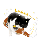 猫のハムスケ__Vo.1（個別スタンプ：7）