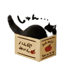 猫のハムスケ__Vo.1（個別スタンプ：11）