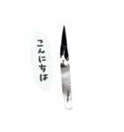 猫のハムスケ__Vo.1（個別スタンプ：18）