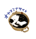 猫のハムスケ__Vo.1（個別スタンプ：20）