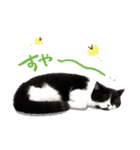 猫のハムスケ__Vo.1（個別スタンプ：29）