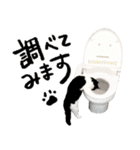 猫のハムスケ__Vo.1（個別スタンプ：36）