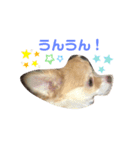 cocosuke Part2（個別スタンプ：6）