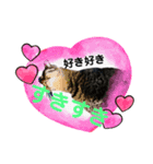 love＆peace 猫の気持ち（個別スタンプ：8）