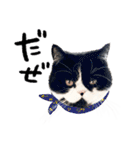 猫のハムスケ__Vo.2（個別スタンプ：13）
