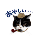 猫のハムスケ__Vo.2（個別スタンプ：15）