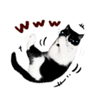 猫のハムスケ__Vo.2（個別スタンプ：28）