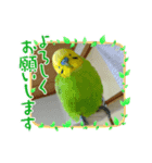 ピーちゃん♥キューちゃん♥スタンプ✨（個別スタンプ：1）