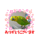 ピーちゃん♥キューちゃん♥スタンプ✨（個別スタンプ：8）