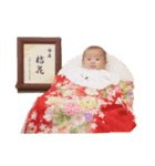 桔花スタンプ（個別スタンプ：8）