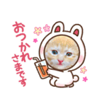 猫ネコっこ（個別スタンプ：1）
