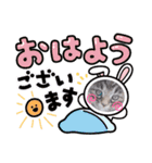 猫ネコっこ（個別スタンプ：3）