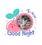 猫ネコっこ（個別スタンプ：4）