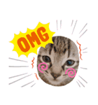 猫ネコっこ（個別スタンプ：8）