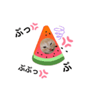 猫ネコっこ（個別スタンプ：10）