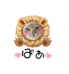 猫ネコっこ（個別スタンプ：11）