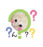 猫ネコっこ（個別スタンプ：12）
