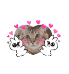 猫ネコっこ（個別スタンプ：14）
