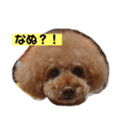 くれもんスタンプ3（個別スタンプ：1）