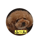 くれもんスタンプ3（個別スタンプ：3）