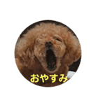 くれもんスタンプ3（個別スタンプ：4）
