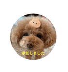 くれもんスタンプ3（個別スタンプ：5）