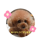 くれもんスタンプ3（個別スタンプ：11）
