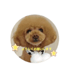 くれもんスタンプ3（個別スタンプ：12）