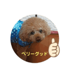 くれもんスタンプ3（個別スタンプ：13）