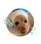 くれもんスタンプ3（個別スタンプ：17）