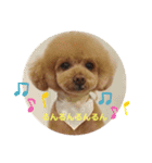 くれもんスタンプ3（個別スタンプ：20）