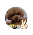 くれもんスタンプ3（個別スタンプ：21）