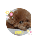 くれもんスタンプ3（個別スタンプ：22）