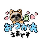 我が家のシーズー犬もじゃ 21（個別スタンプ：16）