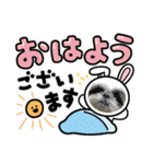 我が家のシーズー犬もじゃ 21（個別スタンプ：17）