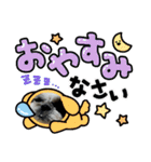 我が家のシーズー犬もじゃ 21（個別スタンプ：18）